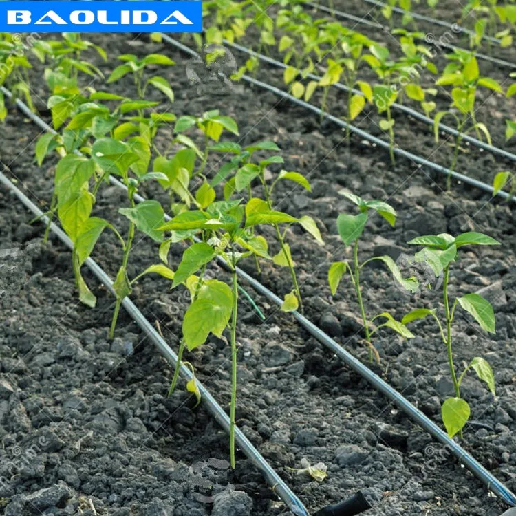 farm irrigation system