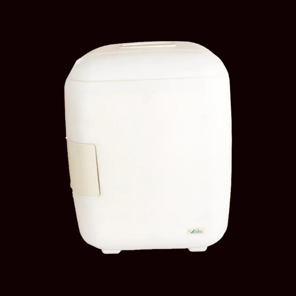 6l Thermoelectric Mini Car Fridge Cold And Hot Box Buy Car Fridge