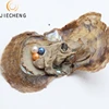 2018 Mixed Color DIY 6-7mm Vacuum-packed Round Akoya Triplets Wholesale Pearl Oyster With Akoya Pearls In Oyster Shell