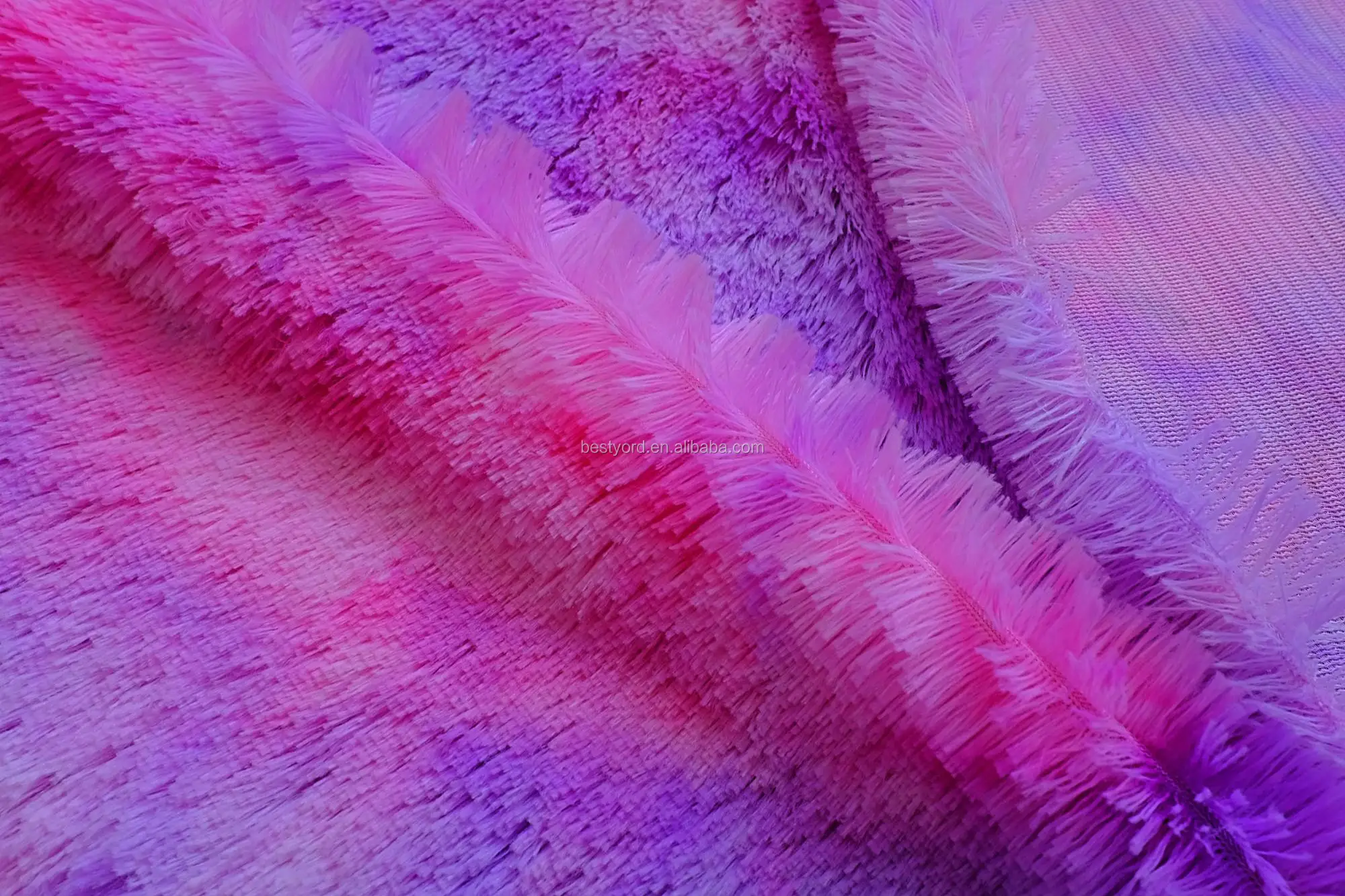 DSCF6654