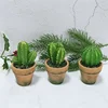 Cheap mini artificial cactus home decor artificial cactus set artificial cactus in ceramic small basin