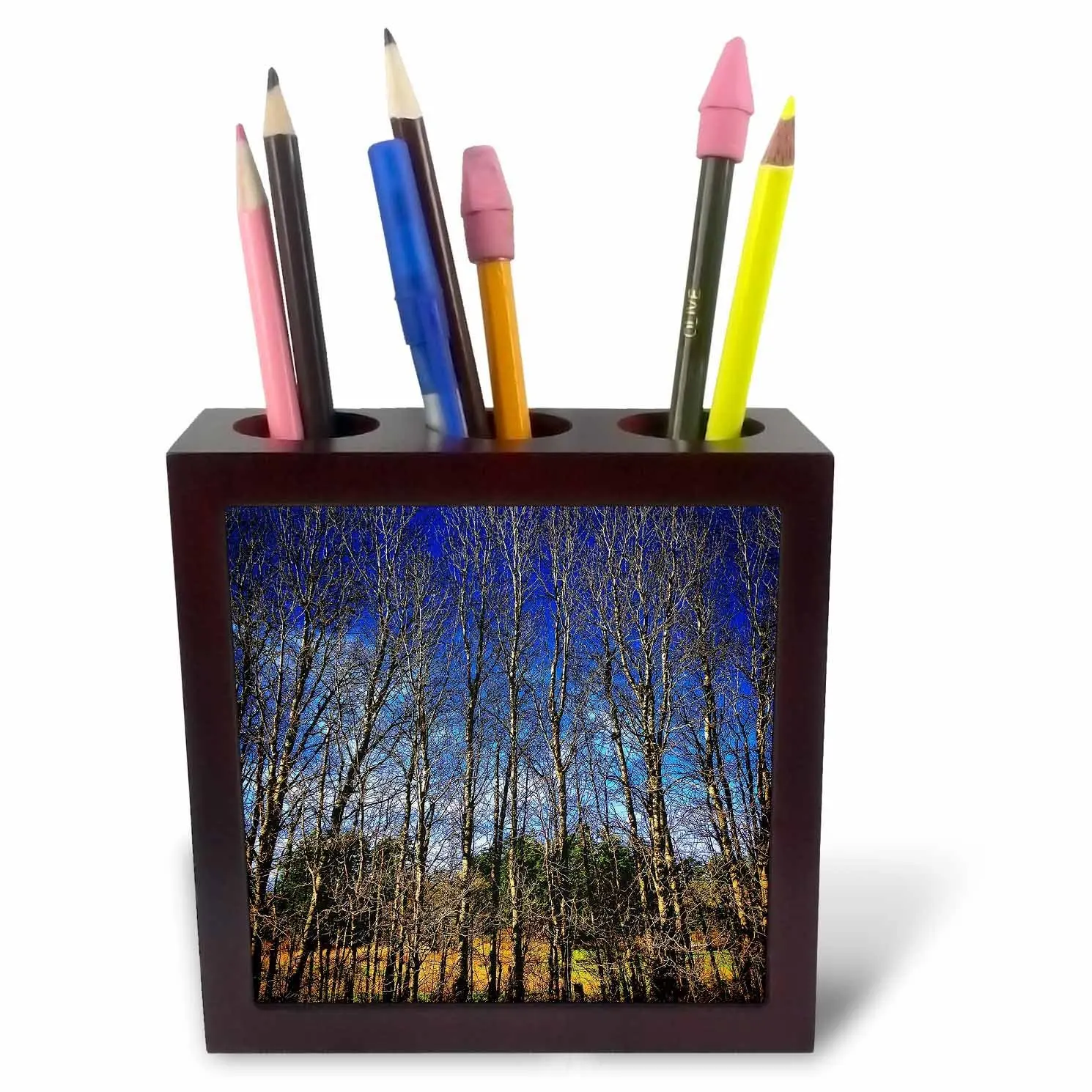 DYLAN SEIBOLD - PHOTOGRAPHY - THIN TREE STAND - 5 inch tile pen holder (ph_245711_1)