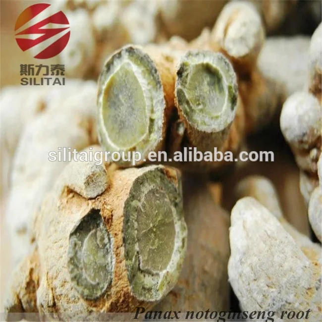 
Wholesale Natural Chinese Raw Herb Panax Notoginseng Root 
