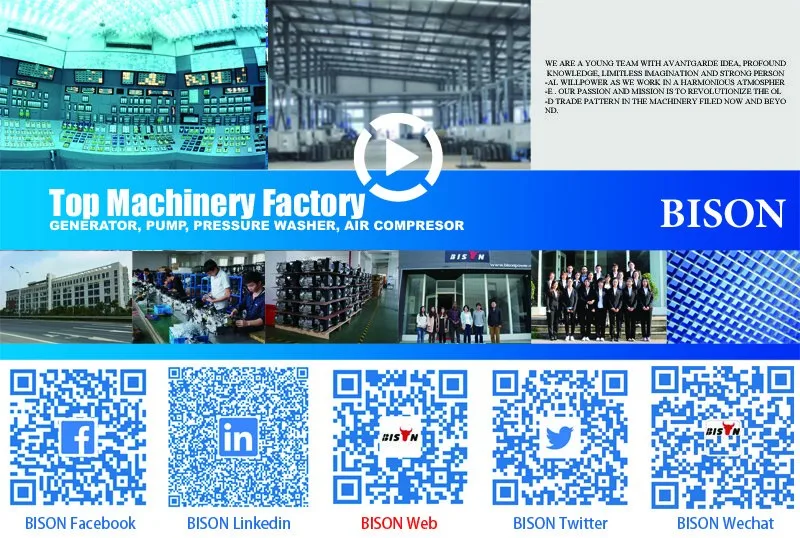 A bison banner and link.jpg