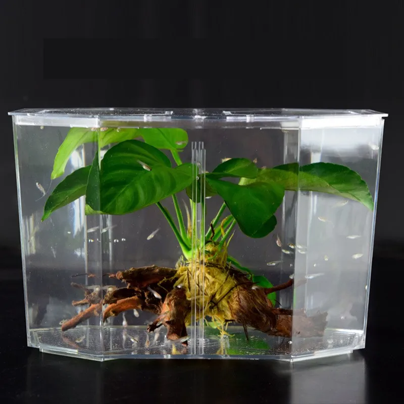 Unique Guppy Fish Tank Aquarium Small Betta Fish Tank For Home
