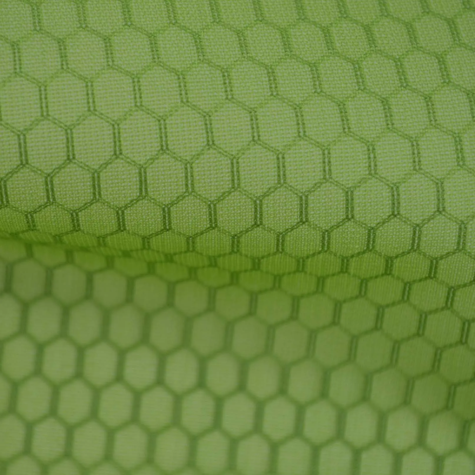 DSC_0958.jpg