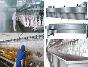 Quick broiler machine dehairing feathered chicken