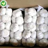 /product-detail/china-wholesale-price-fresh-elephant-garlic-for-one-ton-60710621771.html
