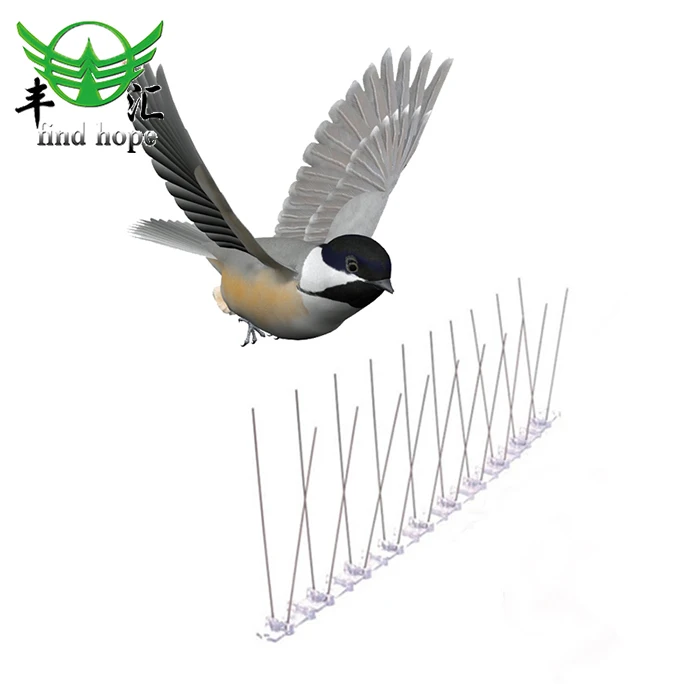 plastic bird spikes.jpg