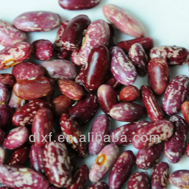 DSC_1893 HPS POLISHED.jpg