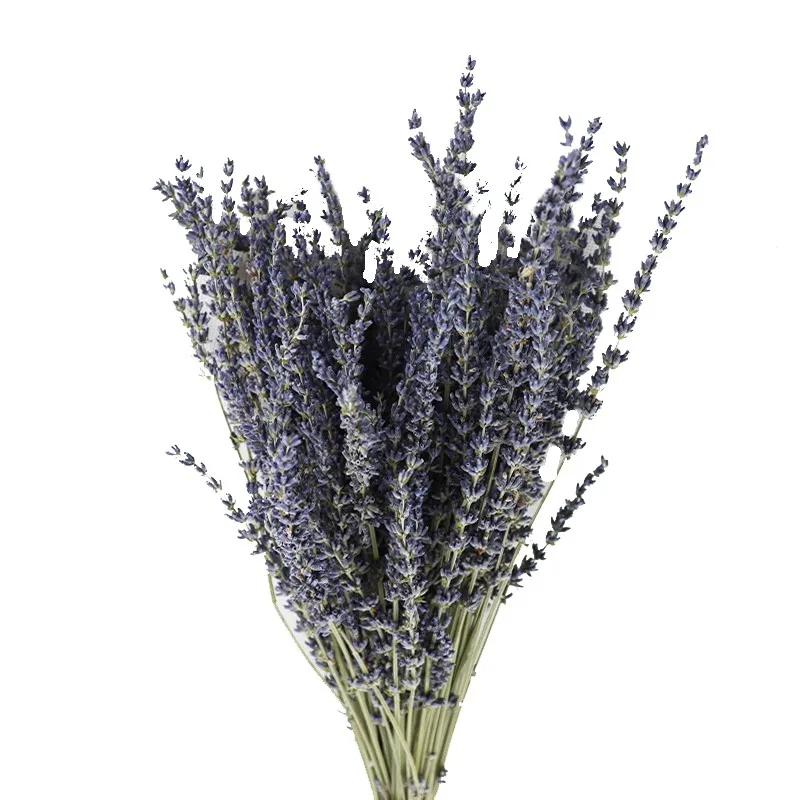 dried lavender arrangements Dried flower bundles dried lavender flower bunch 100% natural dried