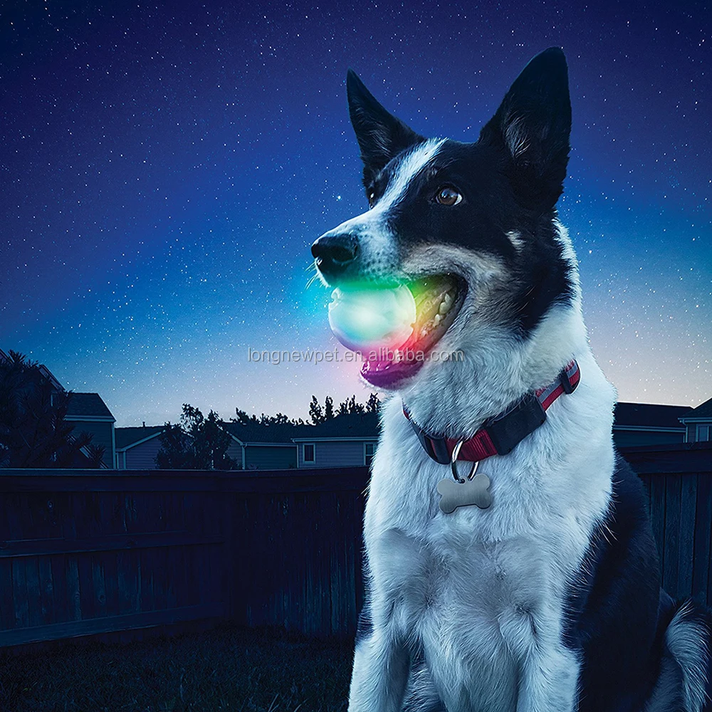 

Glow Streak LED Lighting Pet Dog Ball Lights Up for Night Play Meteor Light K9 Led Dog Ball, White