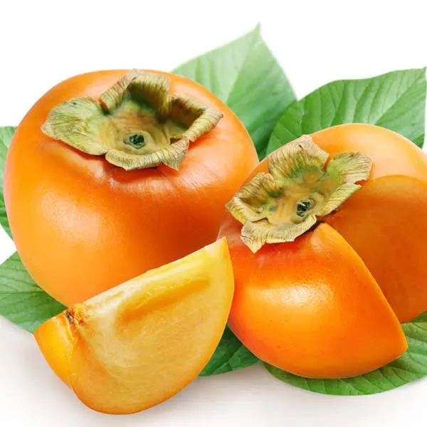 Garcinia cambogia turkiye picture 6