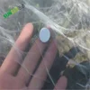 PE plastic agriculture anti insect net/clear greenhouse screen mesh insect repellent netting/hail bird resist nets