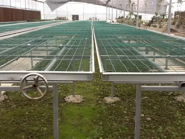 
Cost-effective Hydroponic Seedling Bed plant nursery 