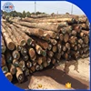 Export radiate pine wood logs with cheap price