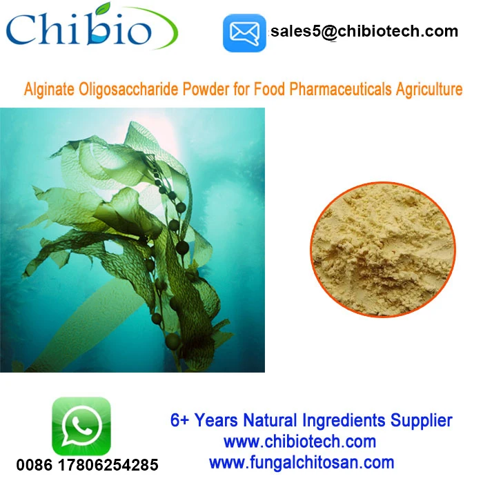 Alginate 004.jpg