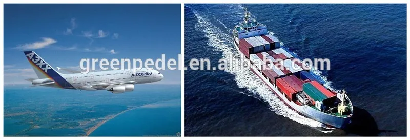 electric engine bike