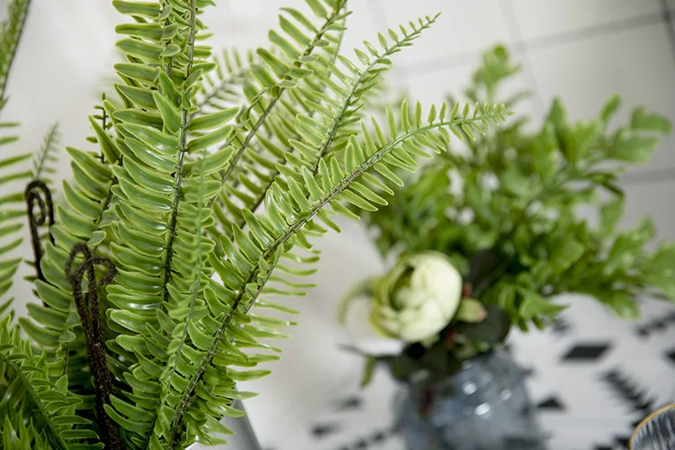 Persian Grass (6).jpg