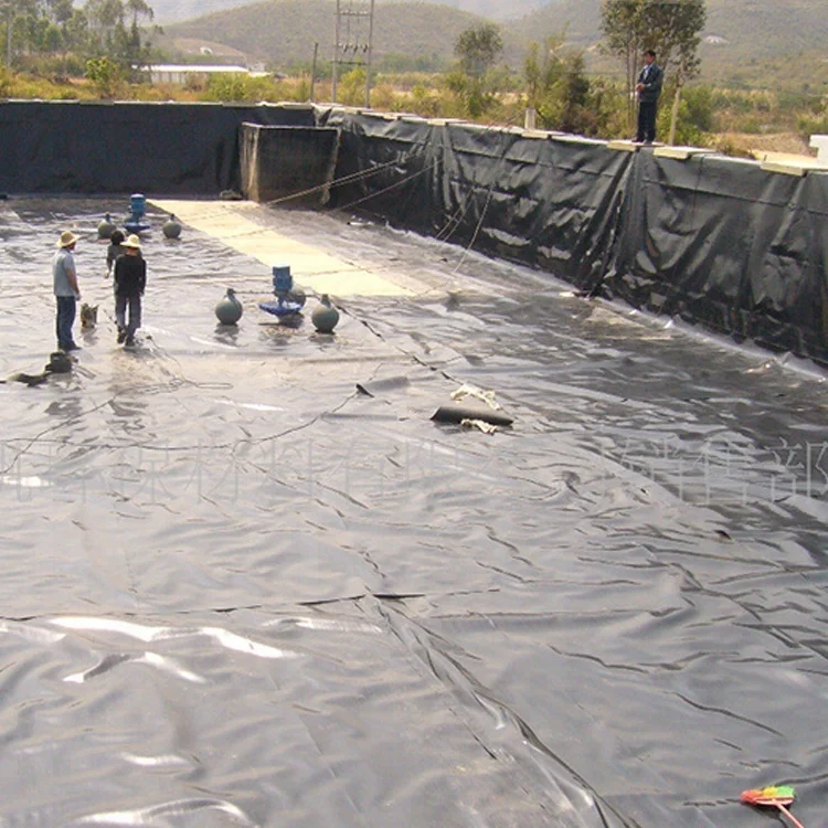 
plastic roll sheet pond liners cheap price hdpe geomembrane  (60778347371)