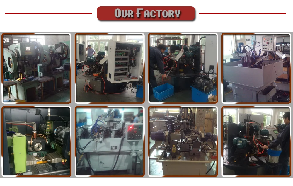 Stainless Steel 316 Snap Hook Outdoor Sport Climbing D Type Snap Hooks With Plate Used With Strap