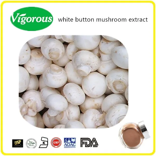 Pure Natural 30 Polysaccharides White Button Mushroom Powder / White