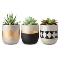 

Cement Material Round Shape Concrete Plant Pot For Sale