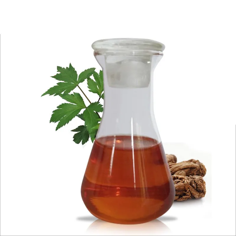 

Natural Angelica Root Essential Oil for Aromatherapy