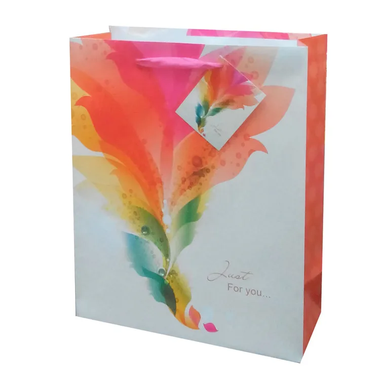2019 Wholesale Cute Custom Print Foldable Gift Storage Paper Bag With PP Rope Handles