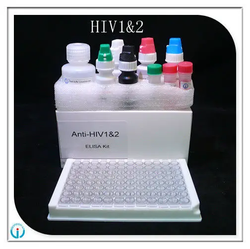 HIV-2_.jpg