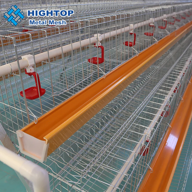 Alibaba automatic equipment A type professional layer chicken coop