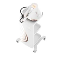 

2019 New Face Beauty Machine with cooling RF and Electroporation Technology