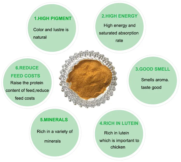 Feed Additive Corn Gluten Meal 60 With Good Price And Top Quality
