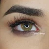 Meetone Penni fresh new look 1 tone natural for dark colored eyes yearly contact lens