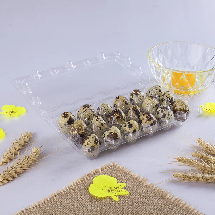 
plastic PVC quail egg tray for supermarket 