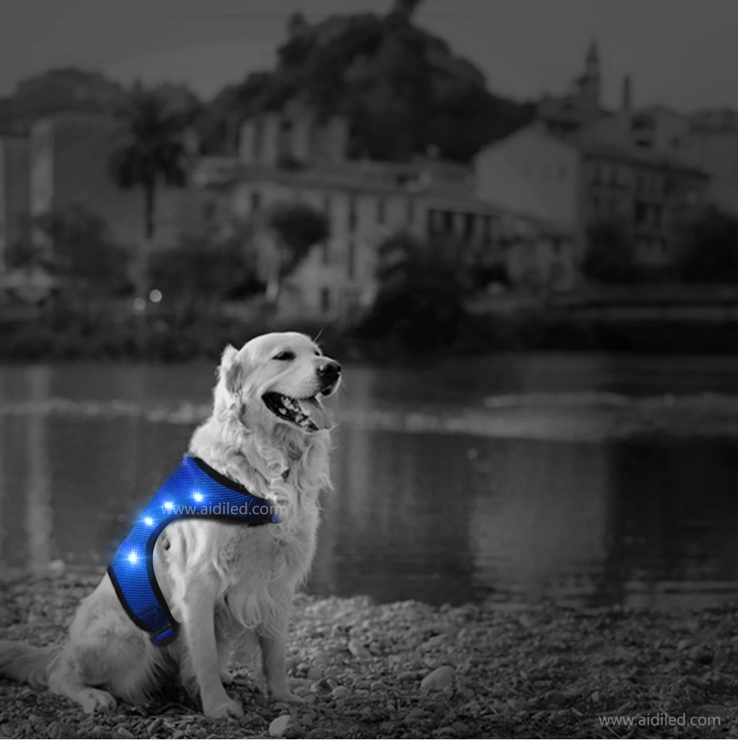 Pet Product Nylon Webbing Reflective Adjustable Mesh Led Dog Harness