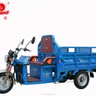 China Auto Adults Electric Cargo Tricycle For Sale