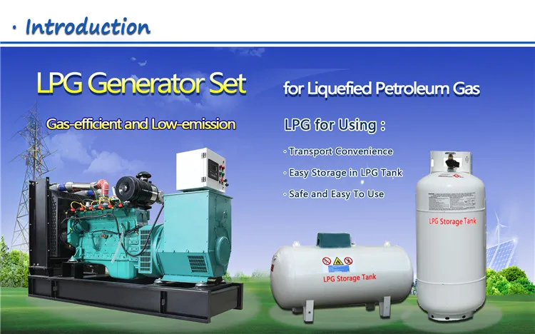 1.11 LPG Generator