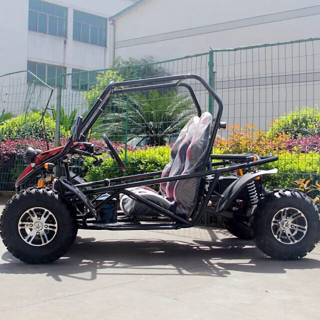 5000w Powerful Adult Racing Electric Go Kart Buggy - Buy Go Kart Buggy