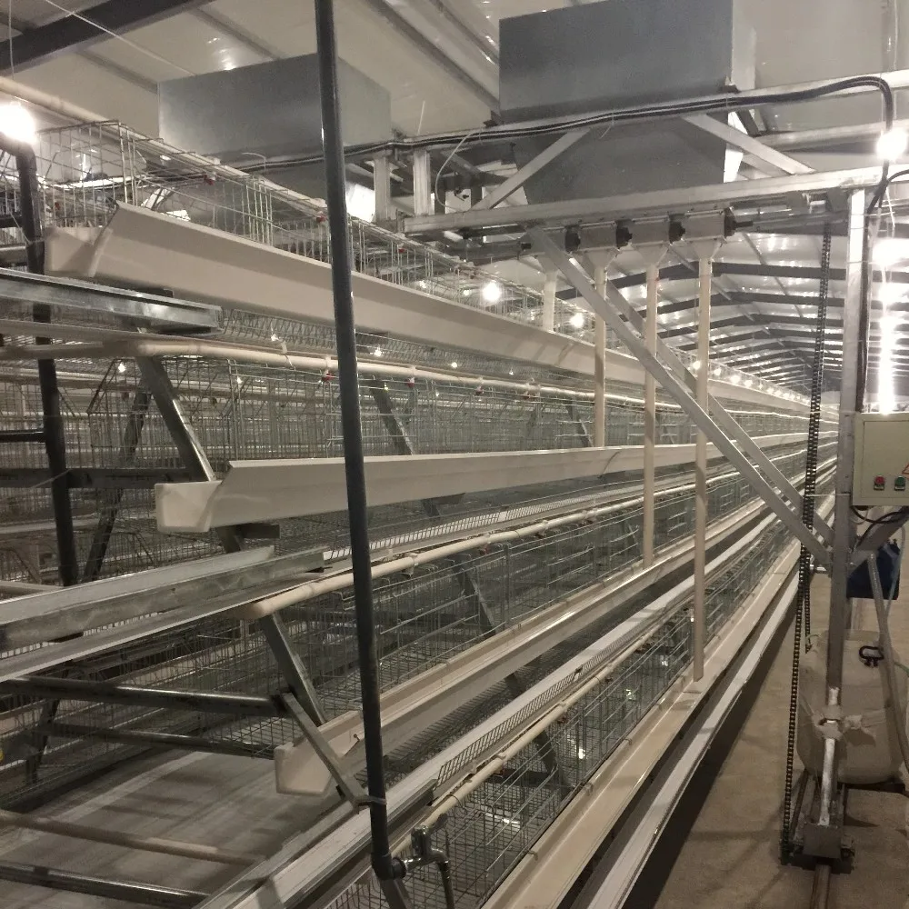 Jinmuren High Quality Commercial Layer Cage A Type Layer Cages Chicken Laying Cages In South 