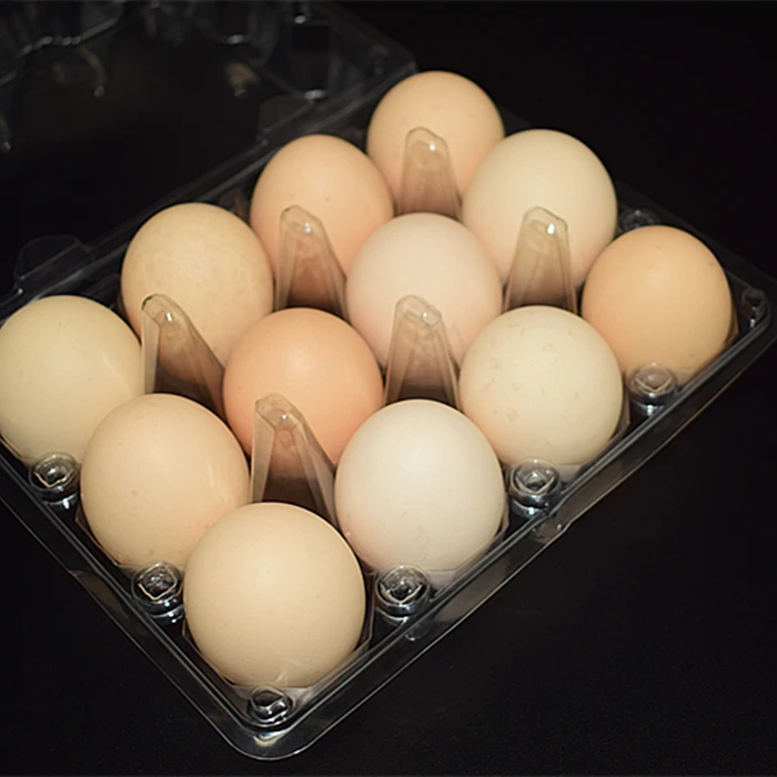Farm Use 12 Grids Plastic Egg Tray Philippines For Sale Buy Egg Tray,Plastic Egg Tray