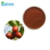 SOST Supply Chinese Herbal Plant Powder Spine Date Seed Extract