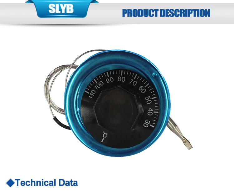 Thermostat 30-110Deg.jpg
