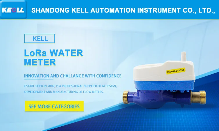 China manufacturer Smart meter Lora Wireless Residential gas Water Meter - ANKUX.COM