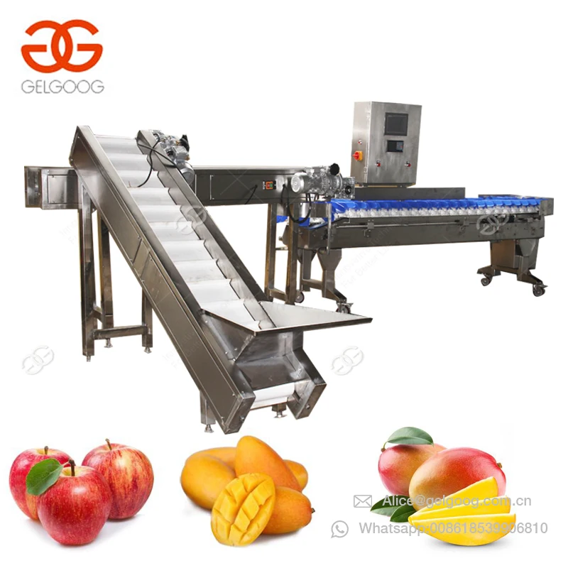 Gelgoog Round Shaped Fruit And Vegetables Washing Cleaning Processing