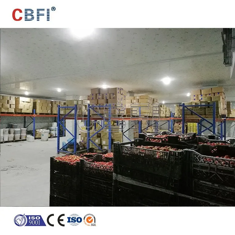 product-Standard Mobile Cold Room Refrigeration for Store Food-CBFI-img-6