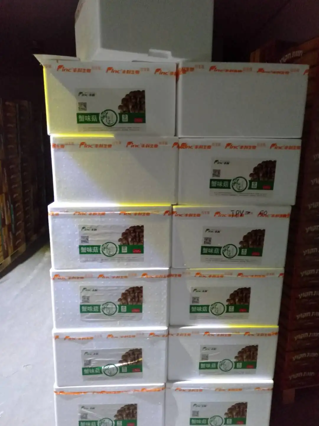 
fresh mushroom(brown shimeji) 