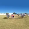 Inflatable color bumper ball bubble football human size soccer zorb for fun