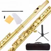 Professional Chinese Gold Closed Hole C Flute