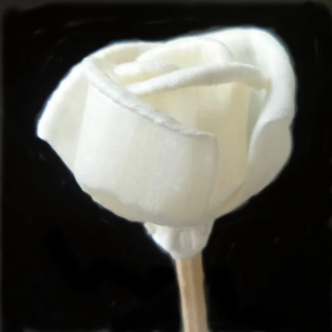 

New Design and High Quality Wholesale Sola Flower for Reed Diffuser with Competitive Price, N/a